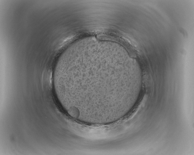 X0000115650024200912011531