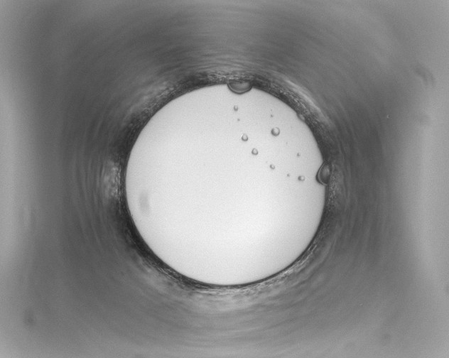 X0000115650025200912011531