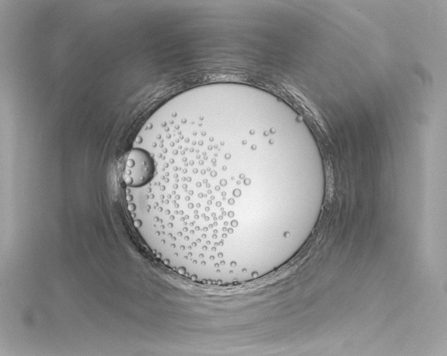 X0000115650026200912011531