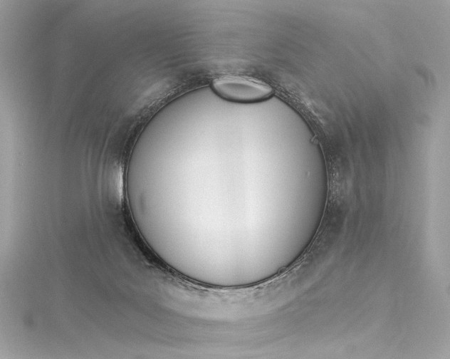 X0000115650027200912011531