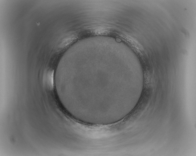 X0000115650028200912011531