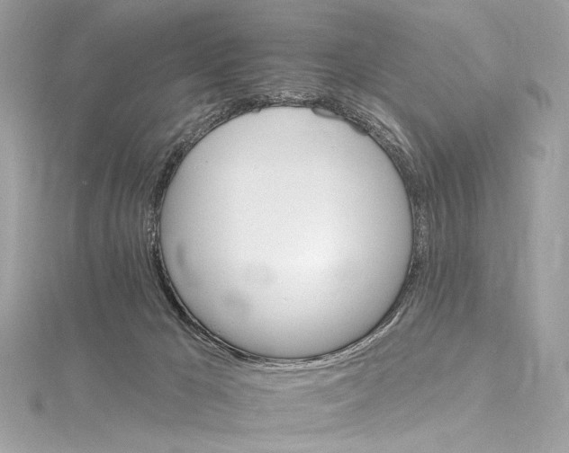 X0000115650029200912011531