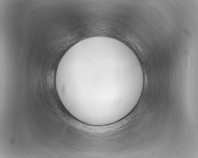 X0000115650030200912011531