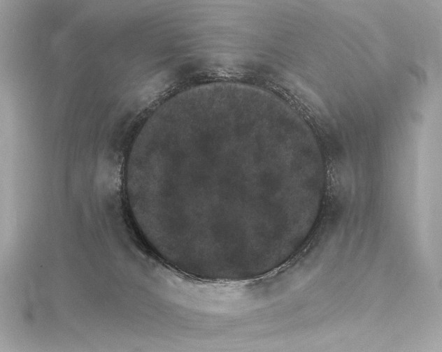 X0000115650032200912011531