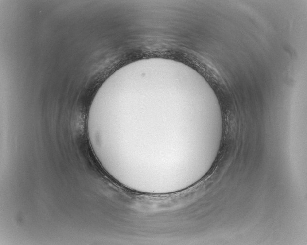 X0000115650033200912011531