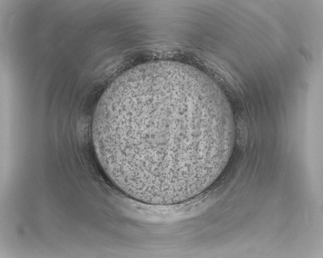 X0000115650034200912011531