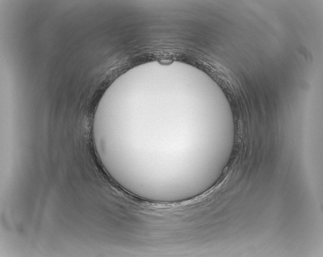 X0000115650037200912011531