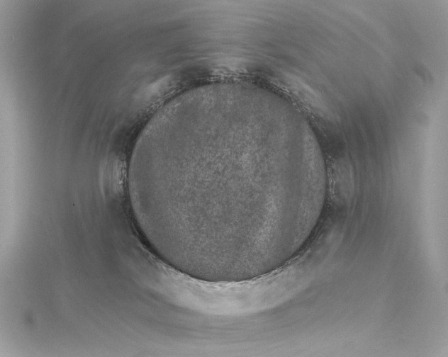 X0000115650038200912011531