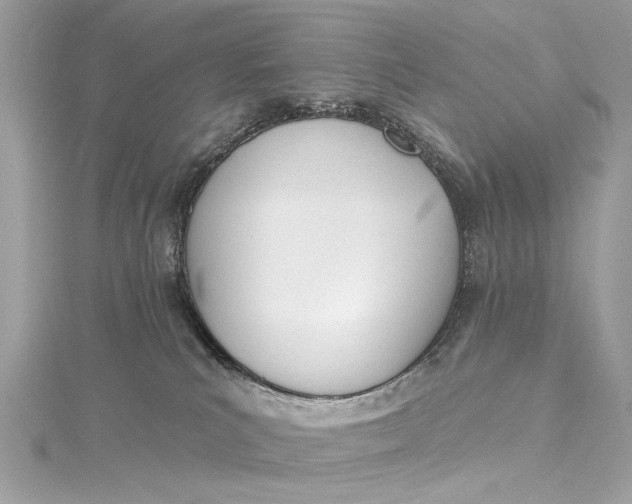 X0000115650039200912011531