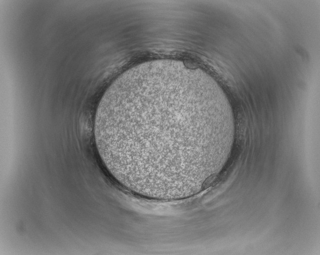 X0000115650040200912011531