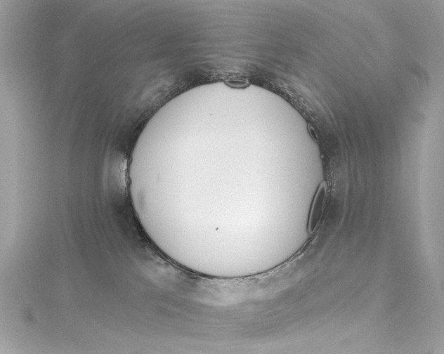 X0000115650041200912011531