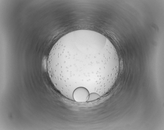 X0000115650042200912011531