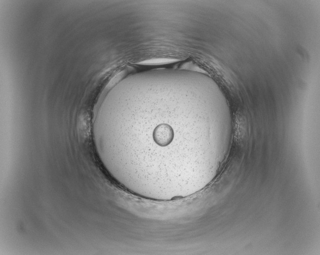 X0000115650043200912011531