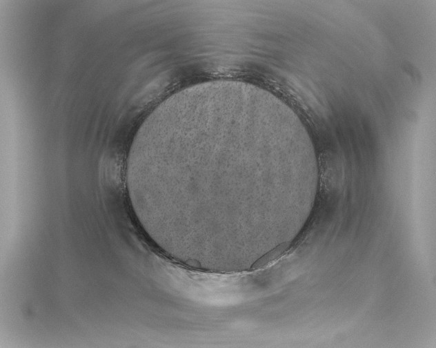 X0000115650044200912011531