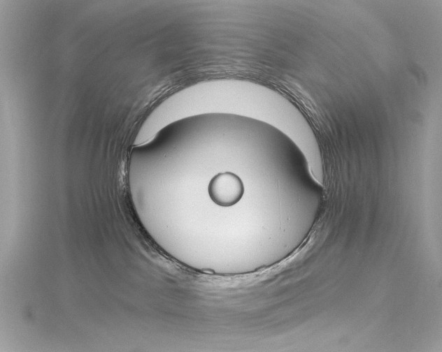 X0000115650045200912011531