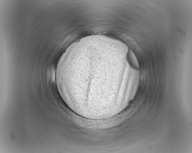 X0000115650046200912011531