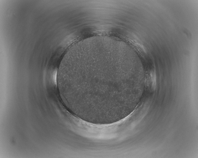 X0000115650047200912011531