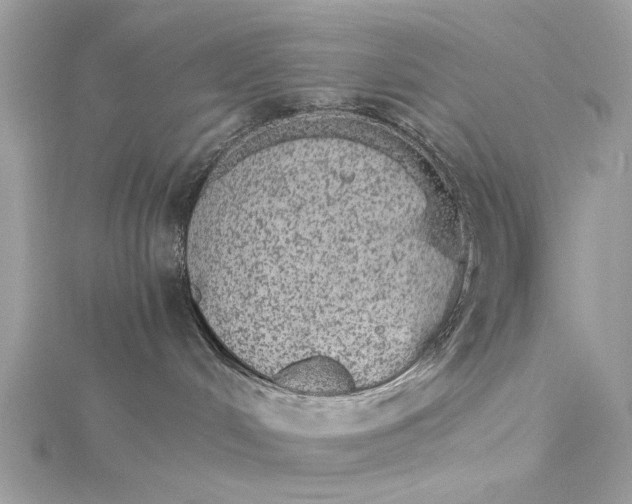 X0000115650048200912011531