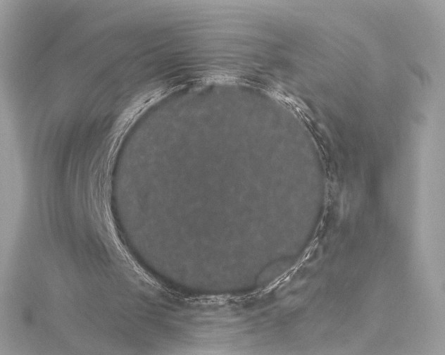 X0000115650049200912011530