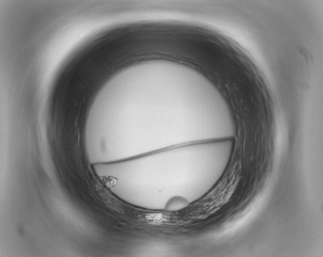 X0000115650050200912011530