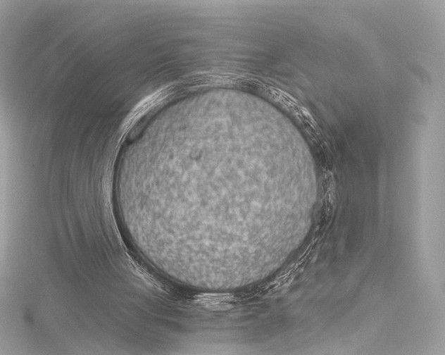 X0000115650051200912011530