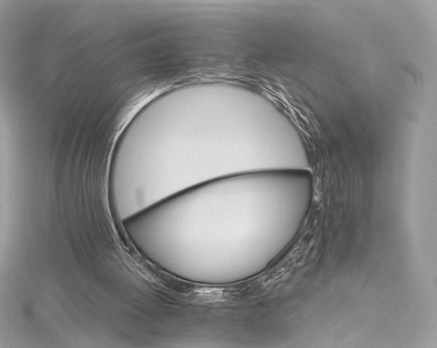 X0000115650052200912011530