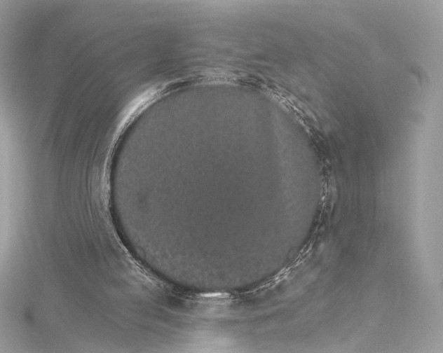 X0000115650053200912011531