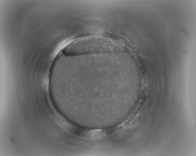 X0000115650054200912011531