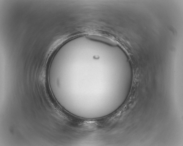 X0000115650055200912011531