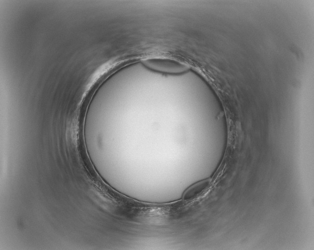 X0000115650056200912011531