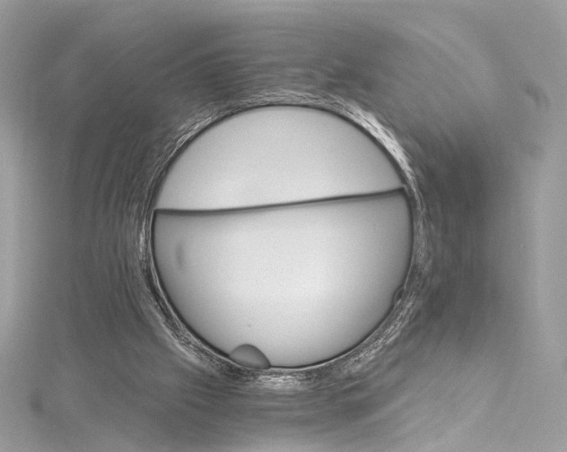 X0000115650057200912011531