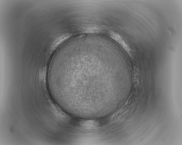 X0000115650058200912011531