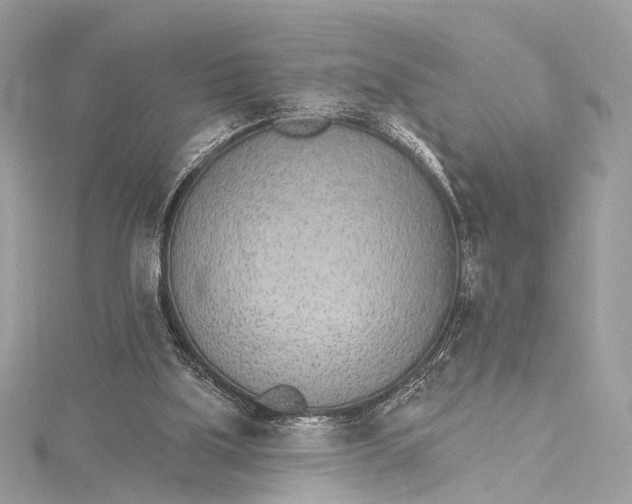 X0000115650059200912011531