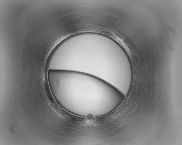 X0000115650060200912011531