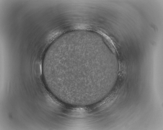 X0000115650061200912011531