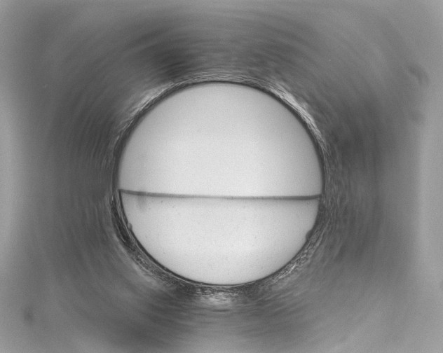 X0000115650062200912011531