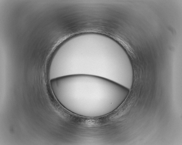 X0000115650064200912011531