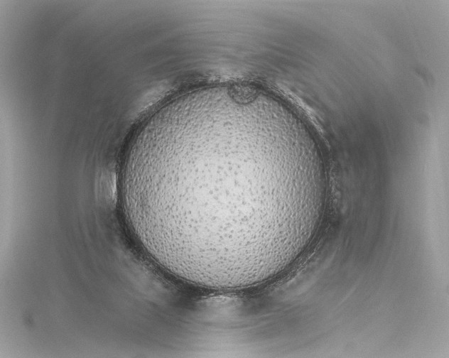 X0000115650067200912011531