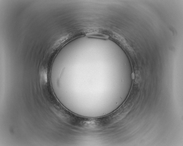 X0000115650068200912011531