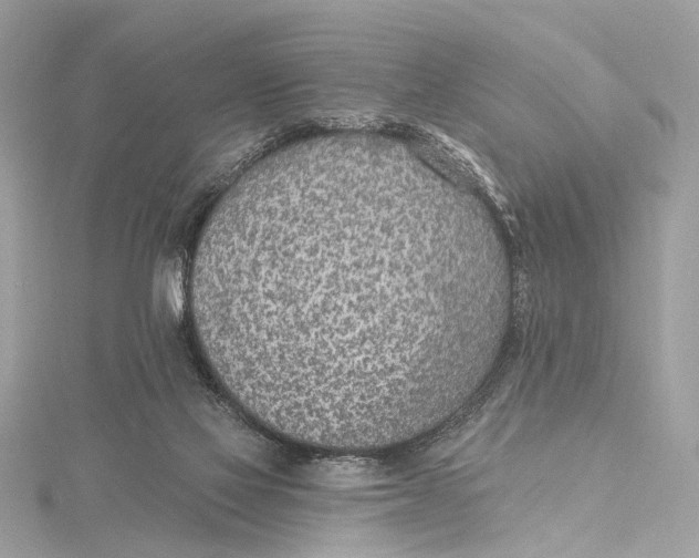 X0000115650069200912011531