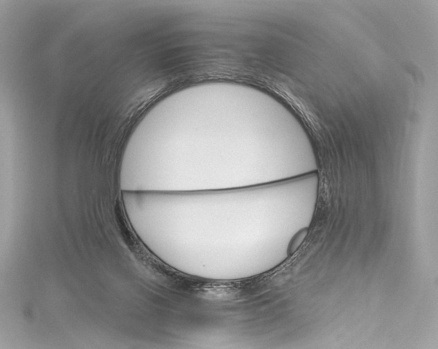 X0000115650070200912011531