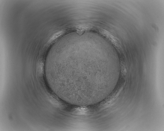 X0000115650071200912011531