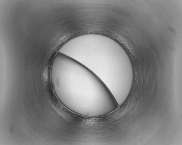 X0000115650072200912011531