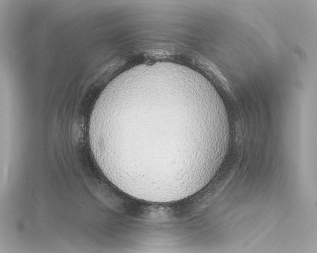 X0000115650073200912011531