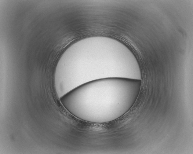 X0000115650076200912011531