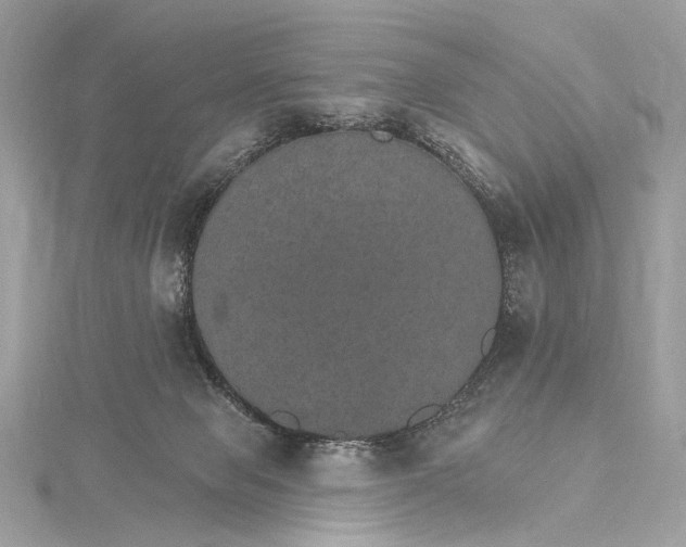 X0000115650077200912011531