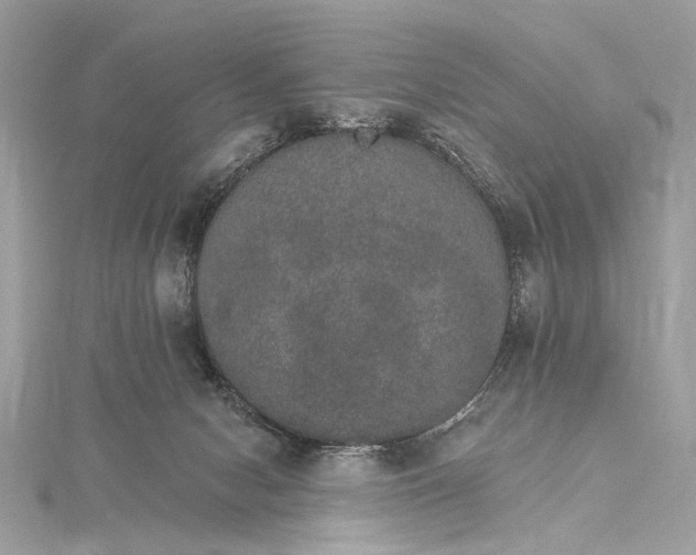 X0000115650078200912011531