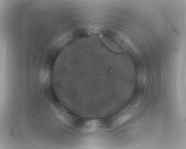 X0000115650079200912011531