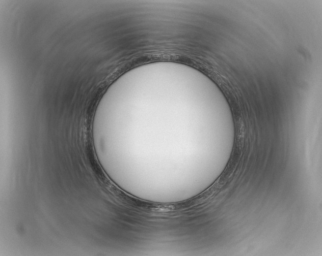 X0000115650080200912011531