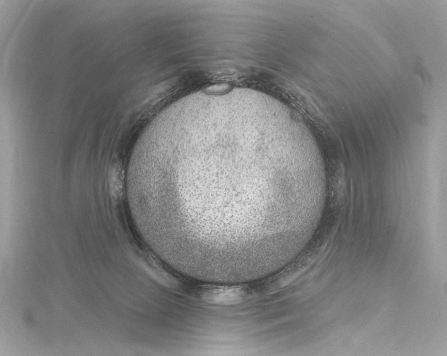 X0000115650081200912011531